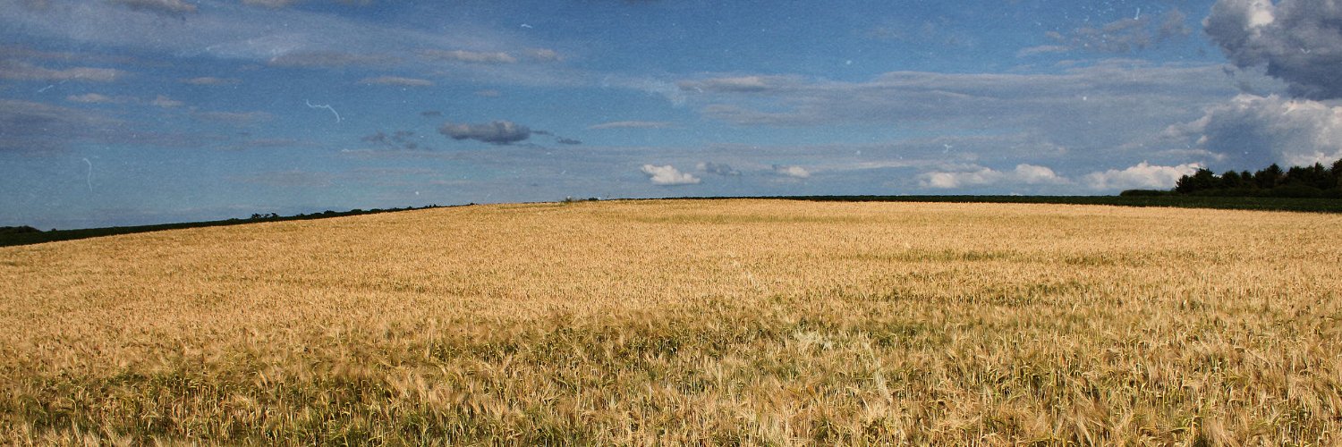 ArthurGarros's profile banner image
