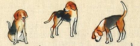 beaglelover7's profile banner image