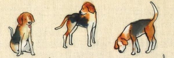 beaglelover7 Profile Banner