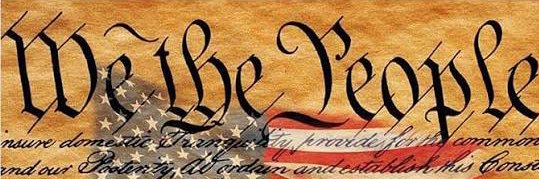 Texas Conservative Party banner