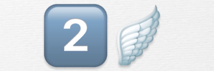 Lilwingsnick banner