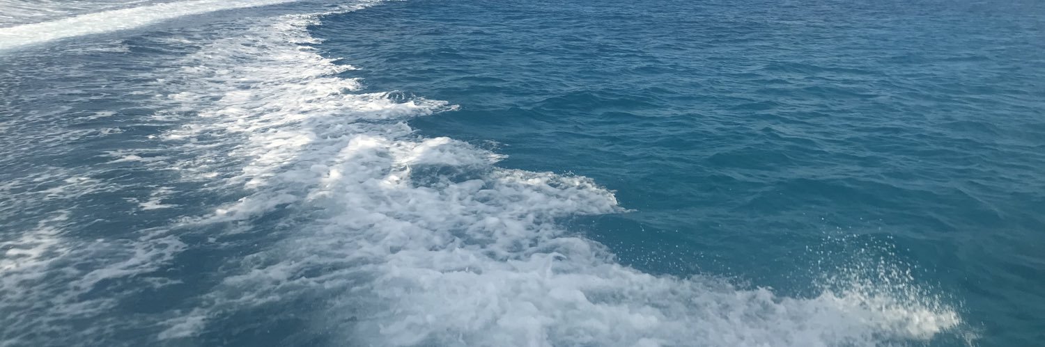 SuzyBiggs's profile banner image