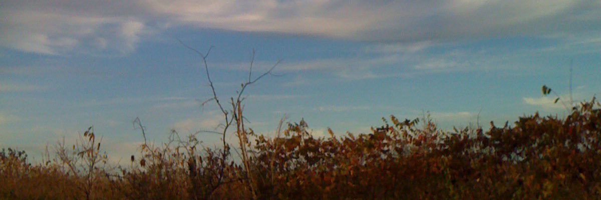 ImANancyGirl's profile banner image