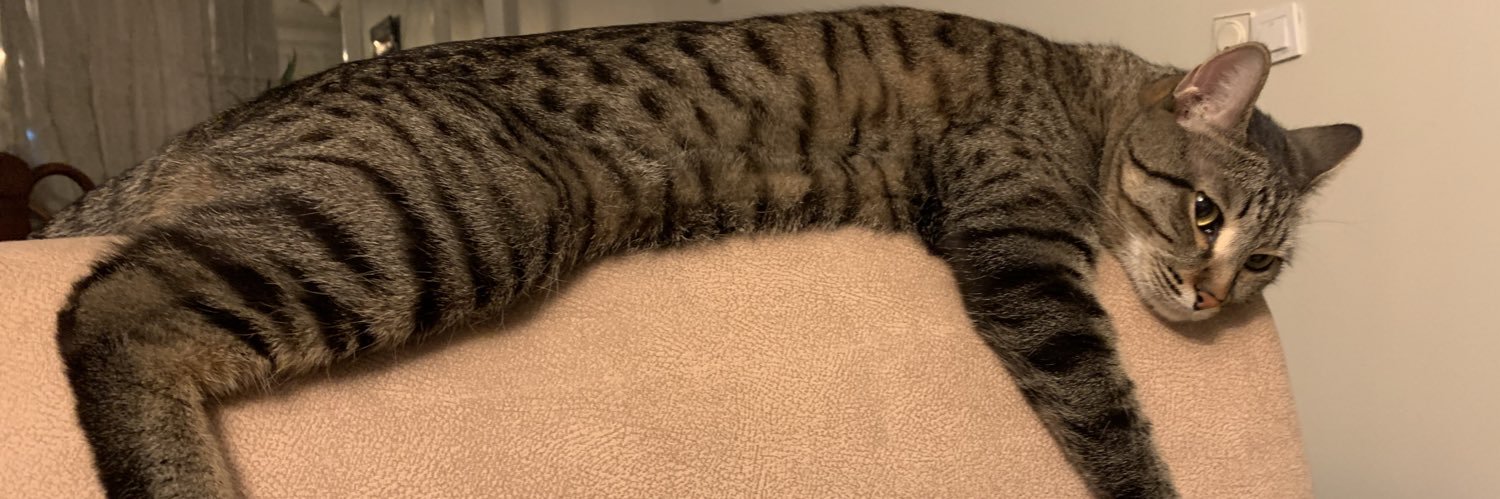 titi banner
