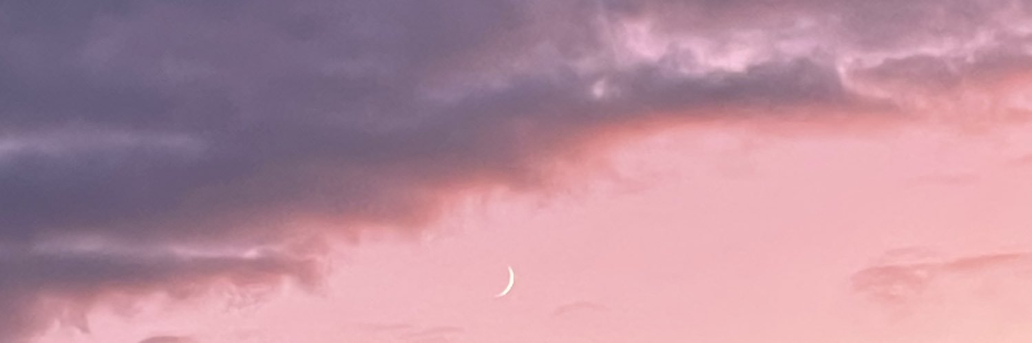 ふぇありー banner