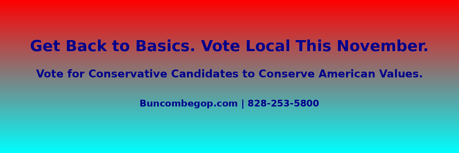 Buncombe County GOP banner