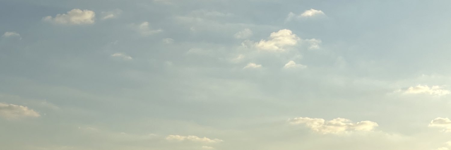 どらちゃみんみ banner