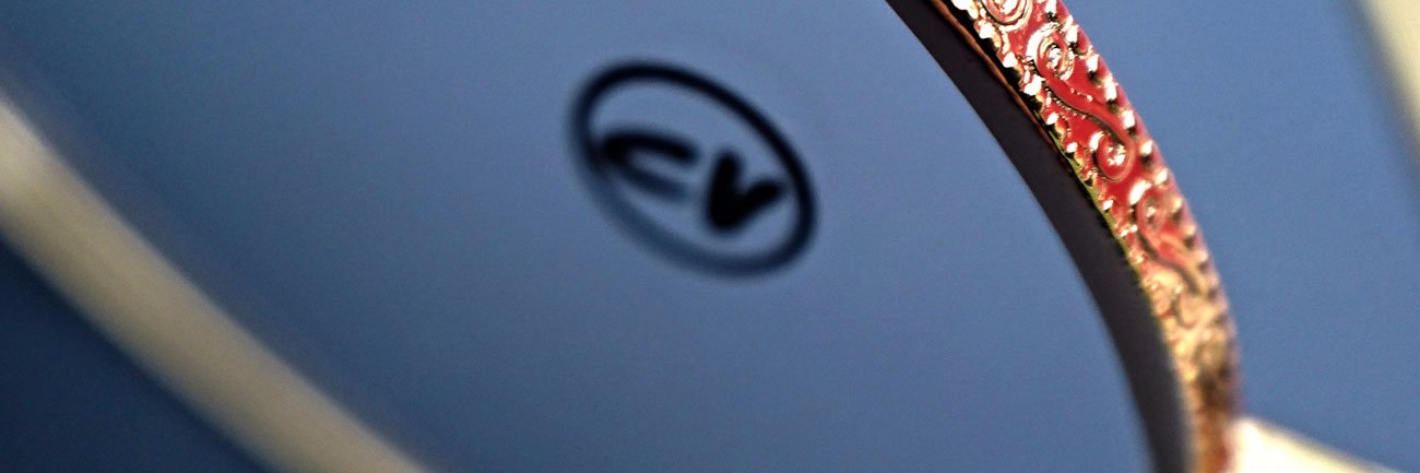 CV_Denmark's profile banner image