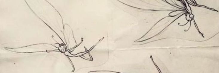 sayra@سايرا banner