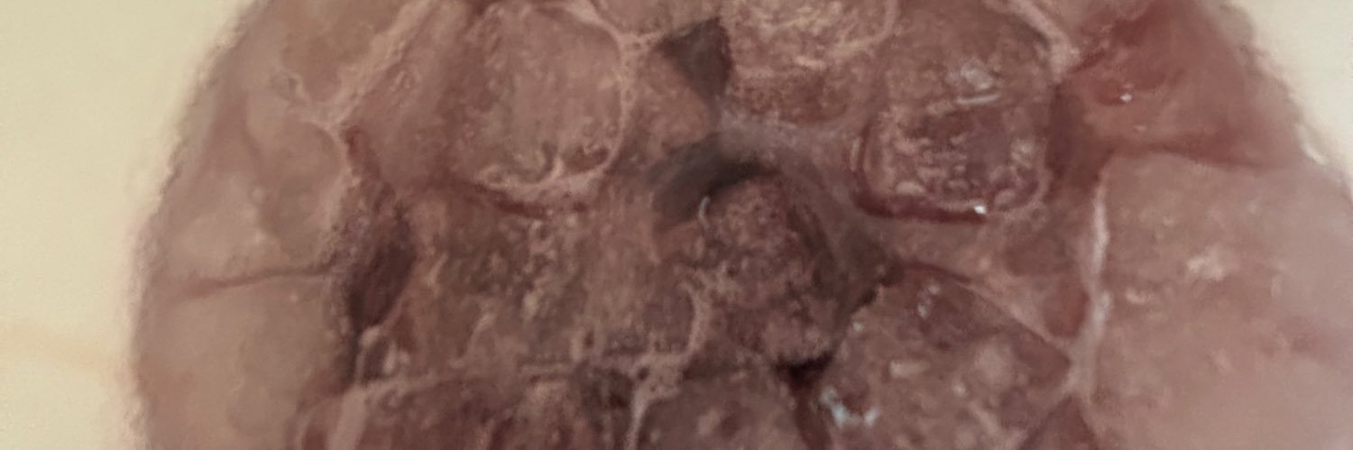 ワールド女将 banner