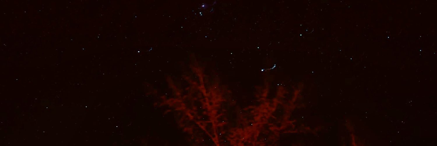 gordon armstrong banner