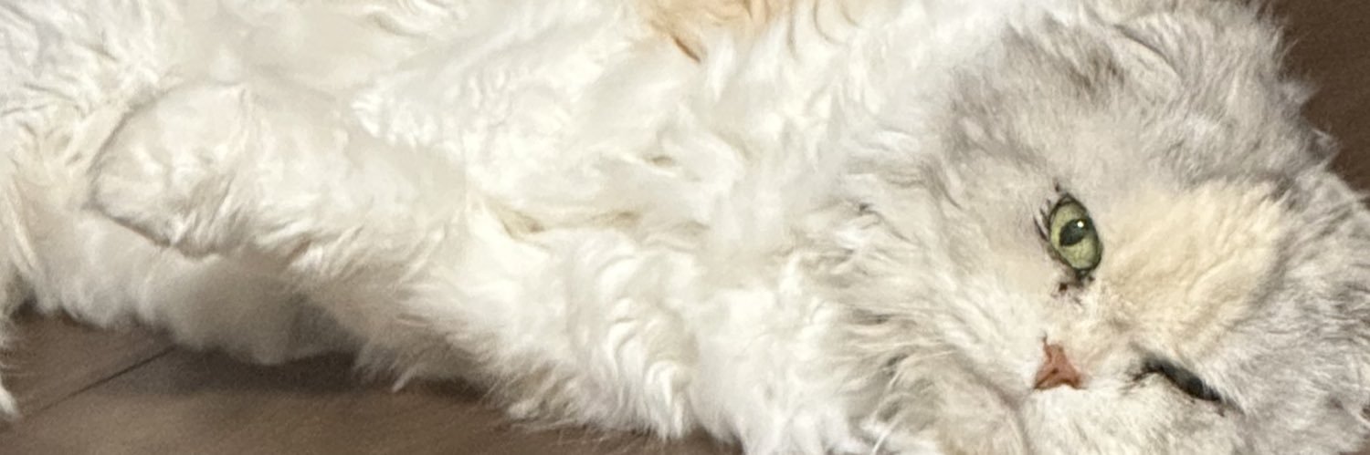 seri banner