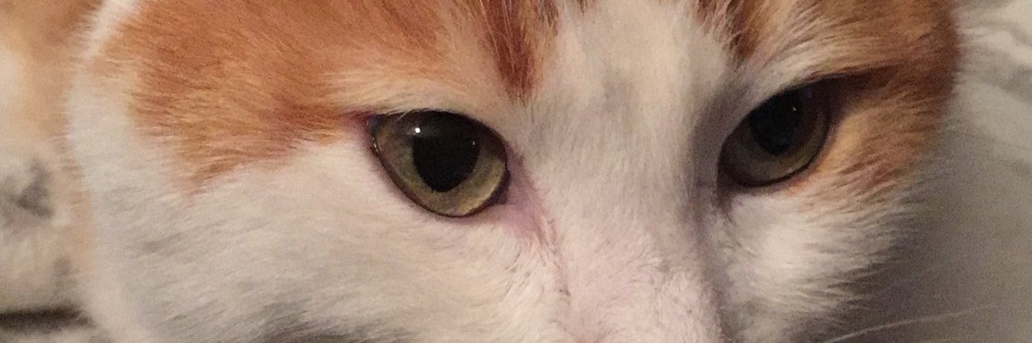 ferizet's profile banner image