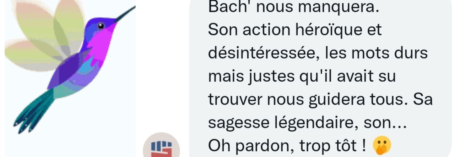 Bach' باش 🐦 🐦 banner