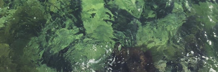peppermilkshake's profile banner image