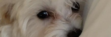 Emily_989_'s profile banner image