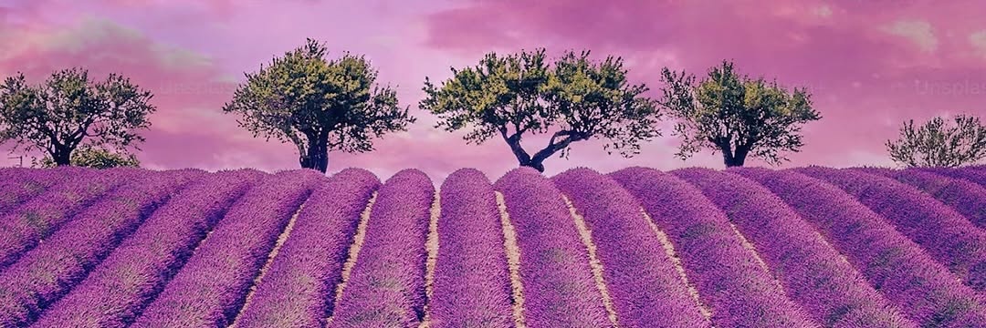 dusflwldl's profile banner image