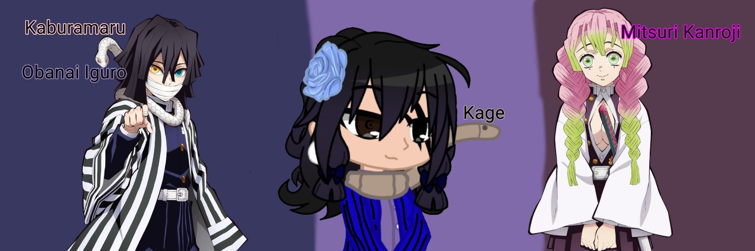 ShadowCatSnake's profile banner image