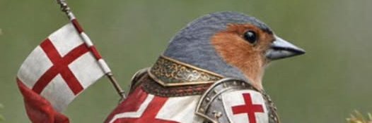 Supremo banner