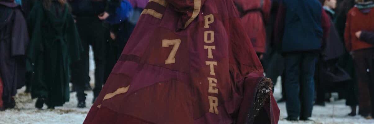 Dominic Access banner