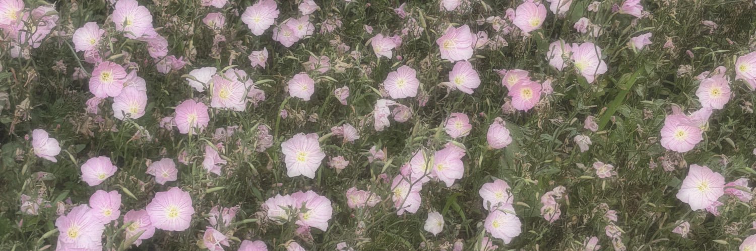 dwwuwow's profile banner image