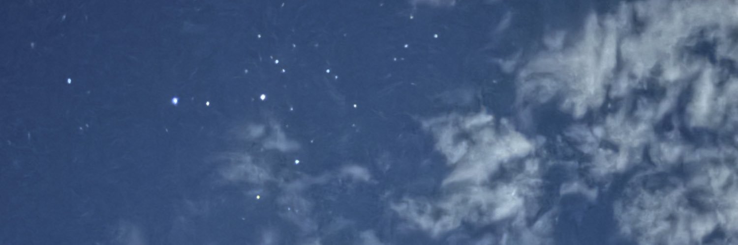 Sofi Morella banner