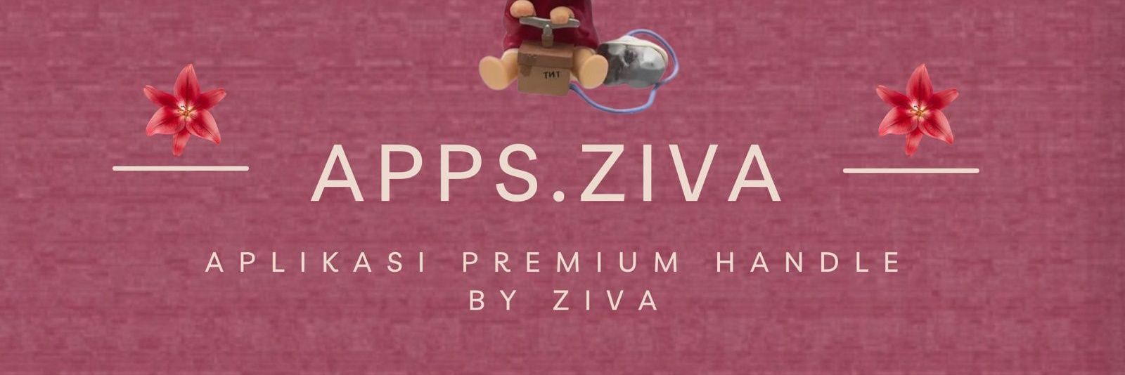 ziva banner