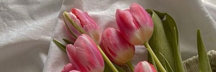 Princess Coco ✨ | Findom banner