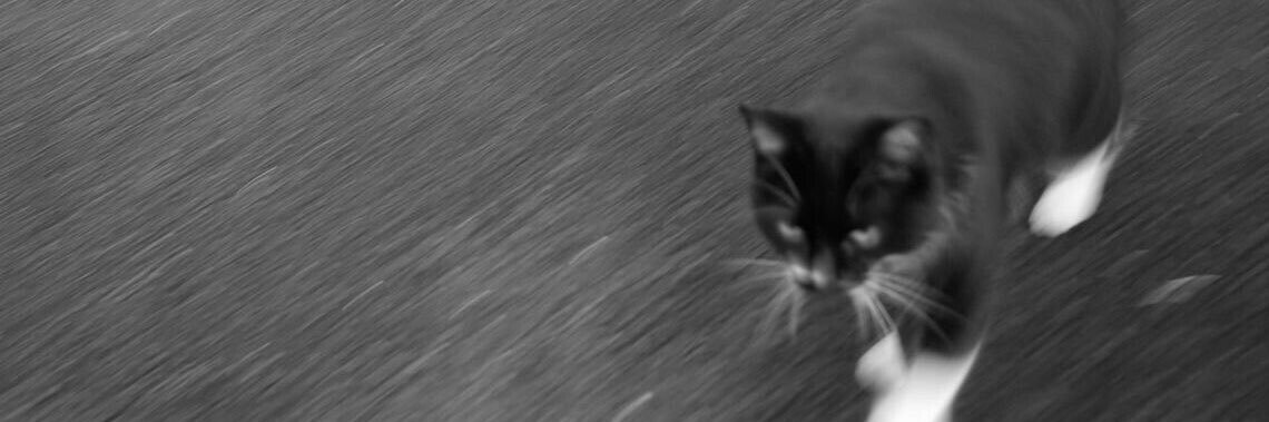 _sedaap's profile banner image