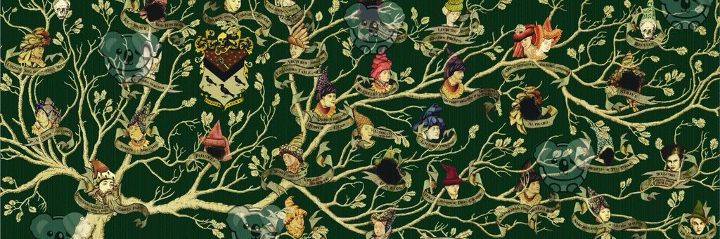 Acervo Família Black banner