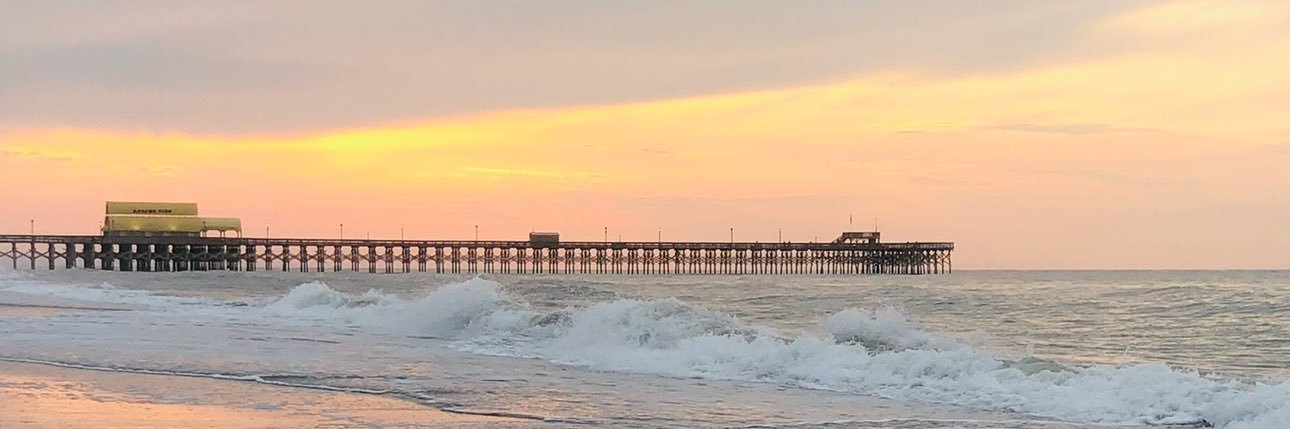 Wanda Gilbert banner