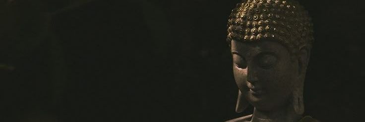 шакальная ♻️ banner