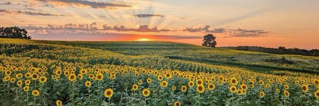 ale ⋆. 𐙚 ̊ getcontact prem 12k 🌻 banner