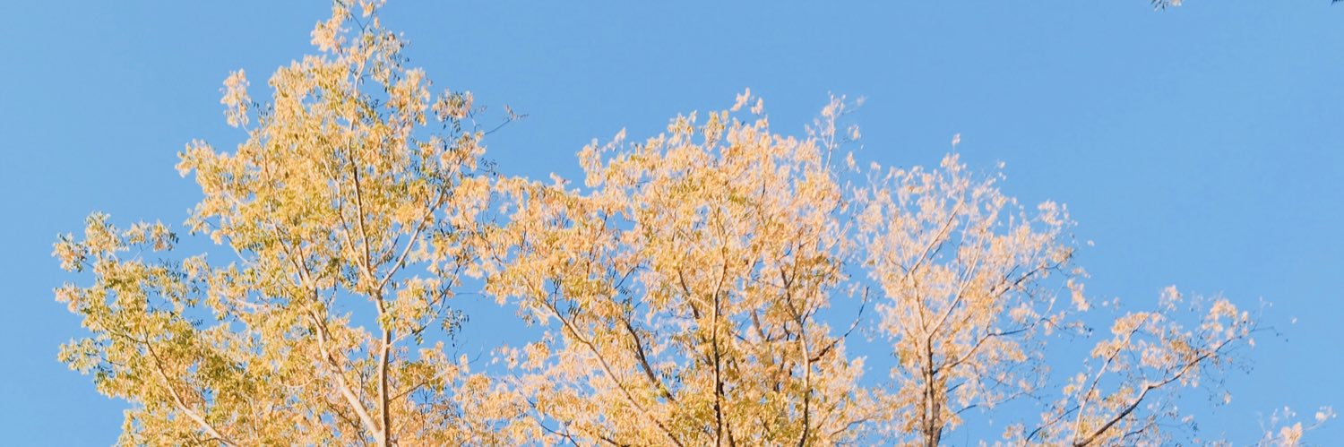Pacngz's profile banner image