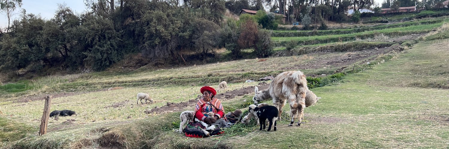 peruvian_joe's profile banner image