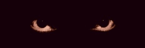 Kei Madarame 🐅 banner