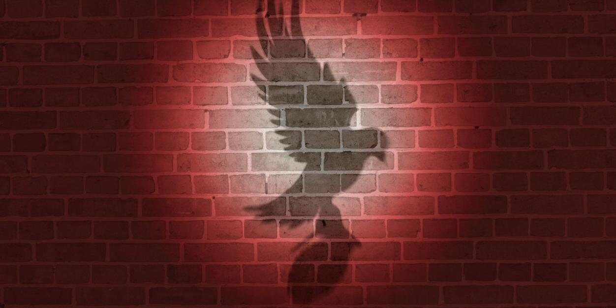 Sanaldo5's profile banner image