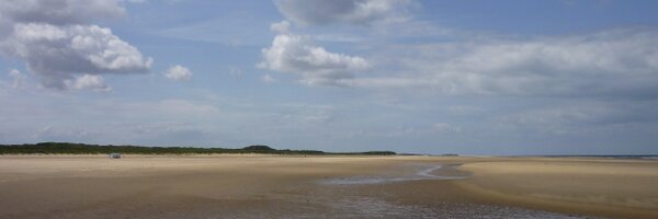 treglown Profile Banner