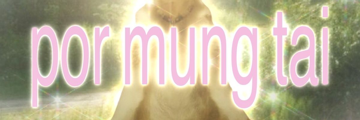 nikoninkku_'s profile banner image