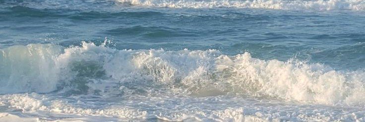 alt_mxcii's profile banner image