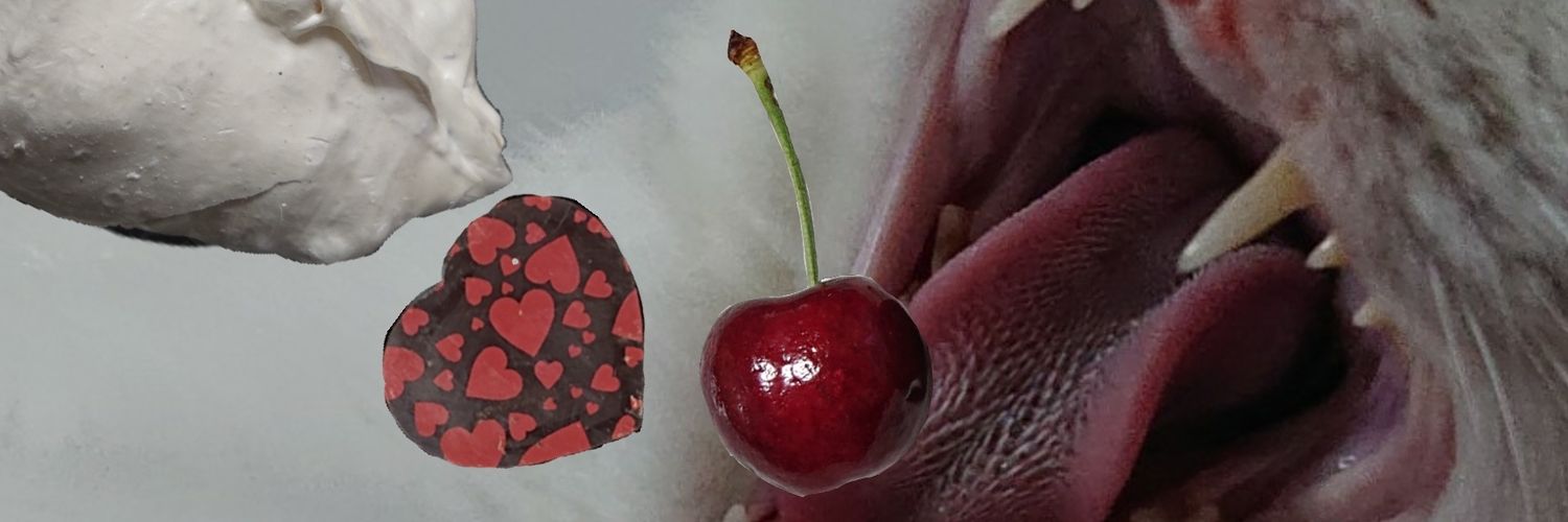 le_teran's profile banner image