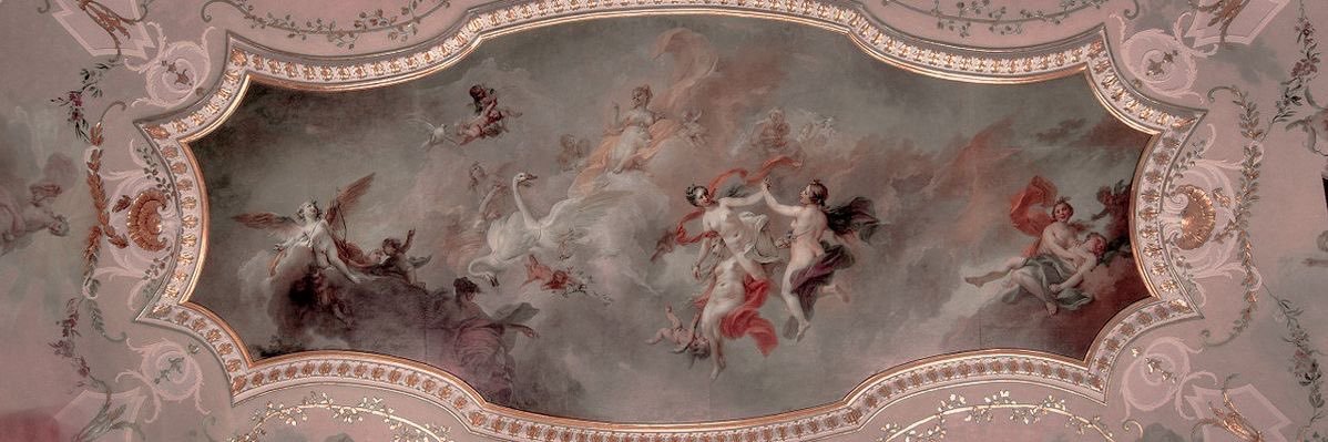 suki ⋆🦢˚⟡˖ ࣪ banner