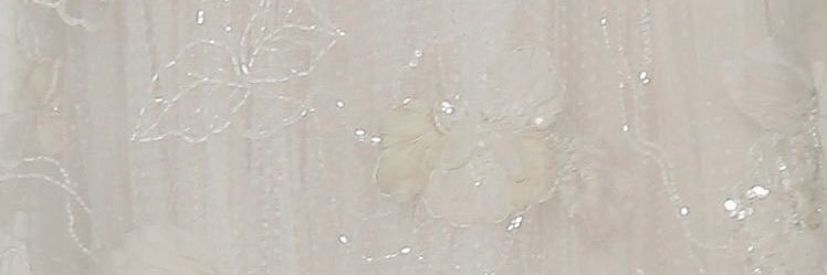 ミ⭐️ banner
