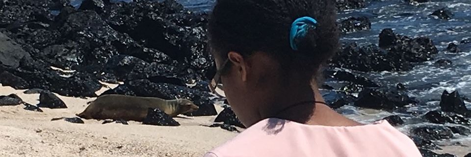 HarambeeConfer's profile banner image