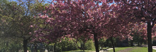 mrsBurdy Profile Banner