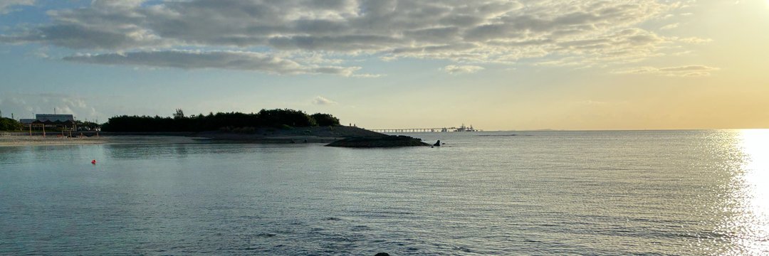 リオ｜音と海と走る経営者 banner