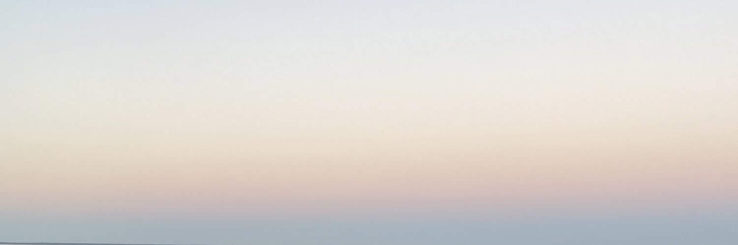 Leinoou's profile banner image