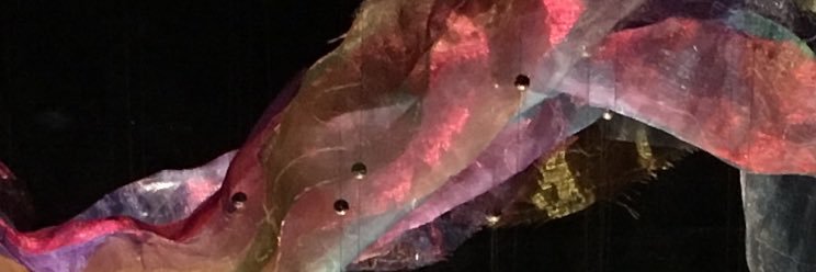 noellevdhagen's profile banner image