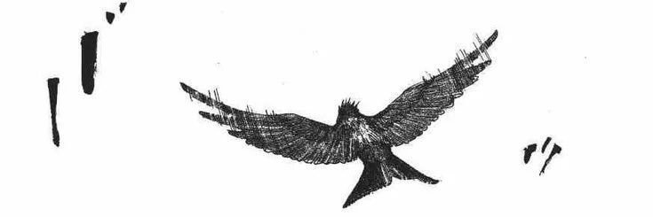 fredrick banner