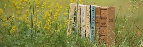 boundsa Profile Banner